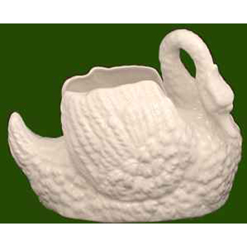 Swan