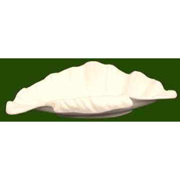 Shell Dish