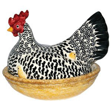 Black Toast Hen on Nest